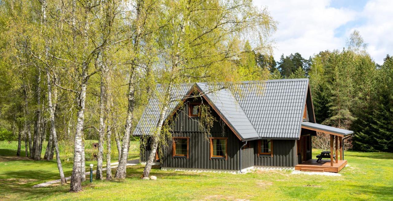 Brivdienu Maja Vejini Straupe Ngoại thất bức ảnh